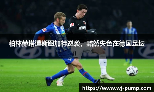 bevictor伟德官网